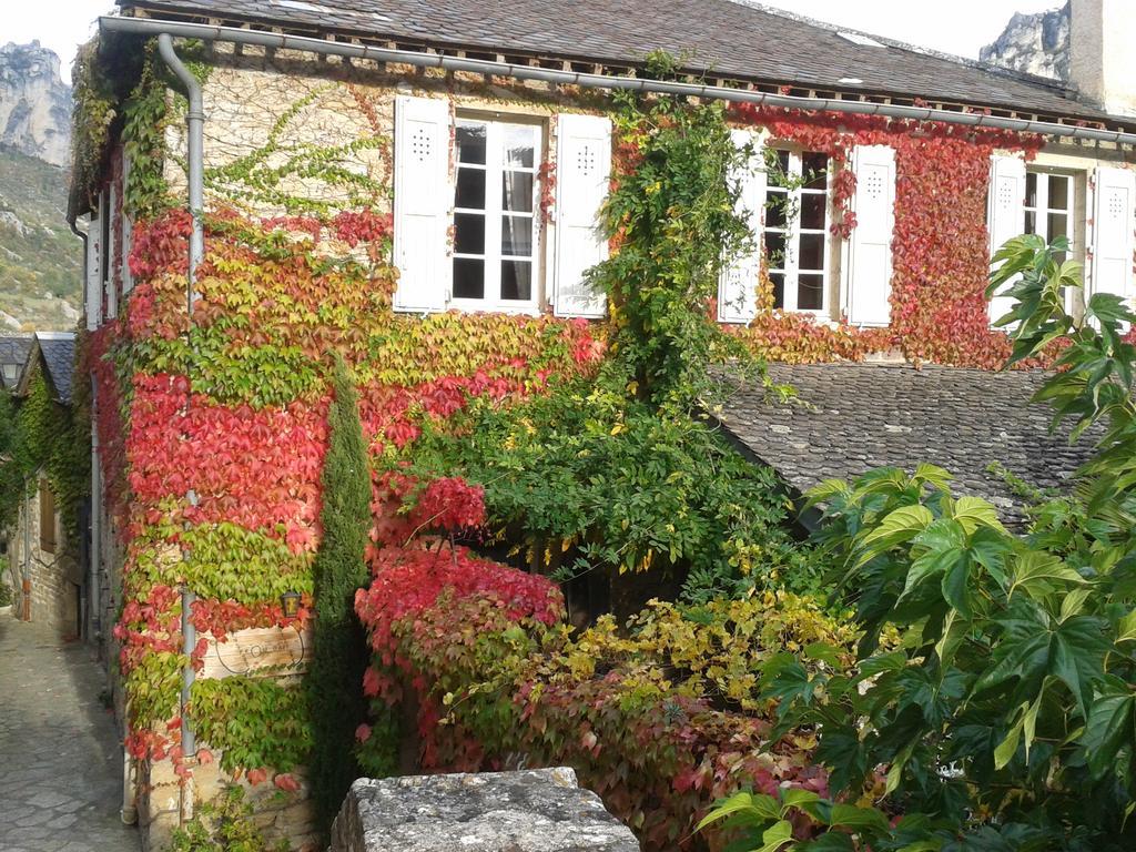 Bed and Breakfast Ermitage De Peyreleau Exteriér fotografie